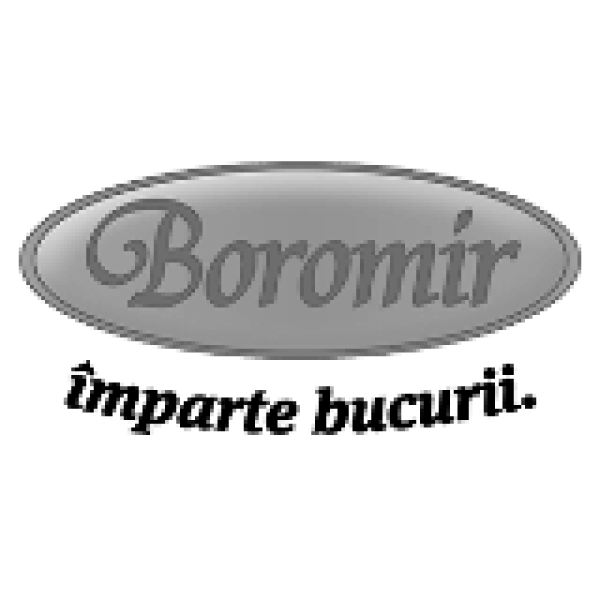 boromir-logo